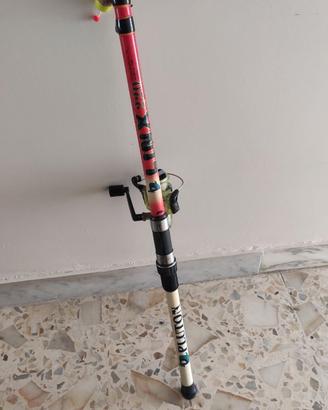 Canna da pesca