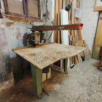 Sega radiale professionale