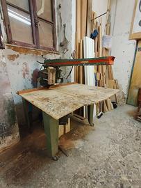 Sega radiale professionale