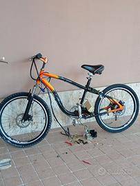 Bicicletta elettrica
