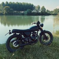 Mutt Fat Sabbath 125 cv