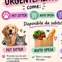 tuttofare