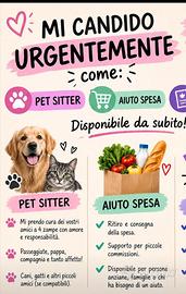 tuttofare