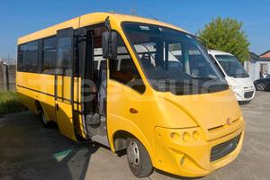 Scuolabus Iveco Cacciamali