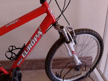 Bicicletta Mountain bike rossa