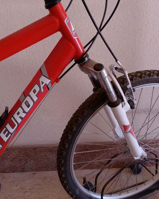 Bicicletta Mountain bike rossa