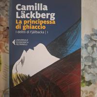 La principessa di ghiaccio