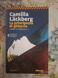 La principessa di ghiaccio