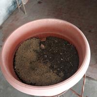 vaso plastica con portavaso piantana in metallo