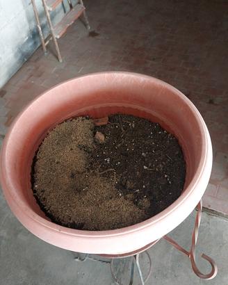 vaso plastica con portavaso piantana in metallo