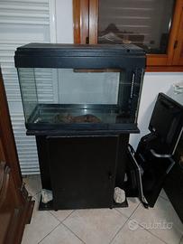 acquario 80l 