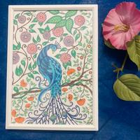 Mandala Pavone colorato a mano con cornice