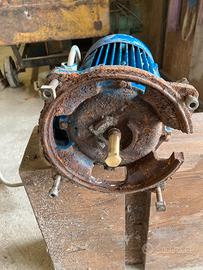 Motore elettrico 220v