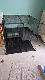 gabbia per gatti