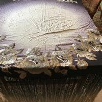 Tovaglia in seta francese anni’40