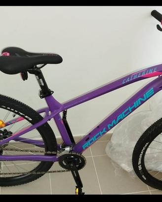 Mountain bike 