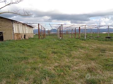 Terreno con capannone e unità abitativa