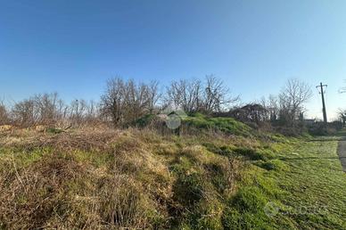 TER. AGRICOLO A CHIEVE