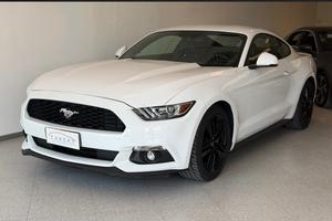 Ford Mustang Premium 2.3 EcoBoost #11589