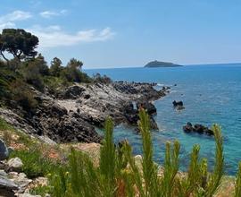 Vacanze a Cirella di Diamante