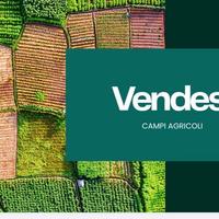 Badia polesine: terreno agricolo