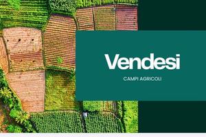 Badia polesine: terreno agricolo