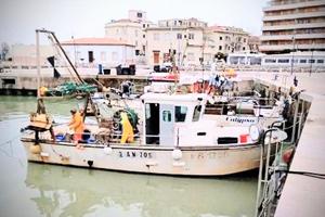 BARCA PESCA PROFESSIONALE – Aligusta 9,75 mt