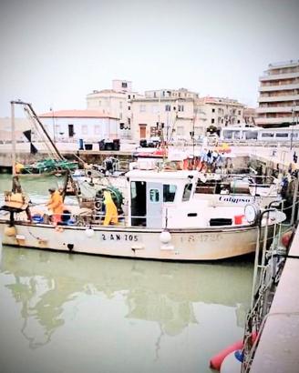 BARCA PESCA PROFESSIONALE – Aligusta 9,75 mt