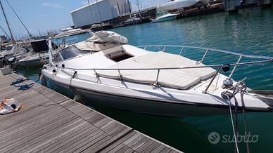 Barca a motori/gobbi 890 sport