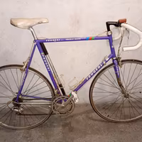 Bici corsa Frugeri Campagnolo Columbus XL epoca