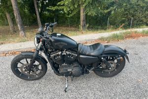 HARLEY-DAVIDSON IRON 883