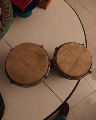 Bongos 5'' e 6,5''