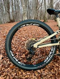 GT Force Carbon Tg L