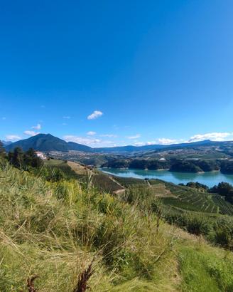 Last minute vacanze Trentino Alto Adige