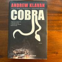 romanzo
