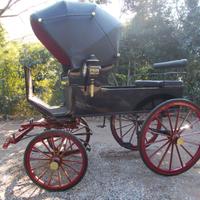 Carrozza per cavalli,DEMI- MAIL PHAETON