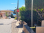 Immagine 12