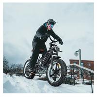 bicicletta elettrica
