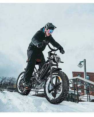 bicicletta elettrica