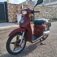 scarabeo  50 