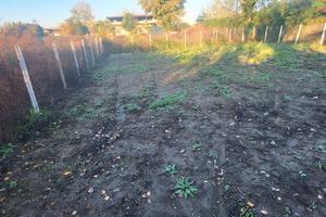 Terreno agricolo recintato 600 mq con pozzo
