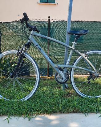 bicicletta Mountain bike city bike 
