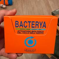 Batteri acquario sia marino che dolce