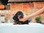 Immagine 4