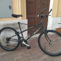 MTB Bianchi pholcus