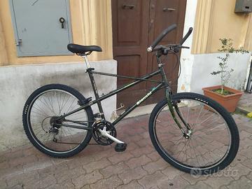 MTB Bianchi pholcus