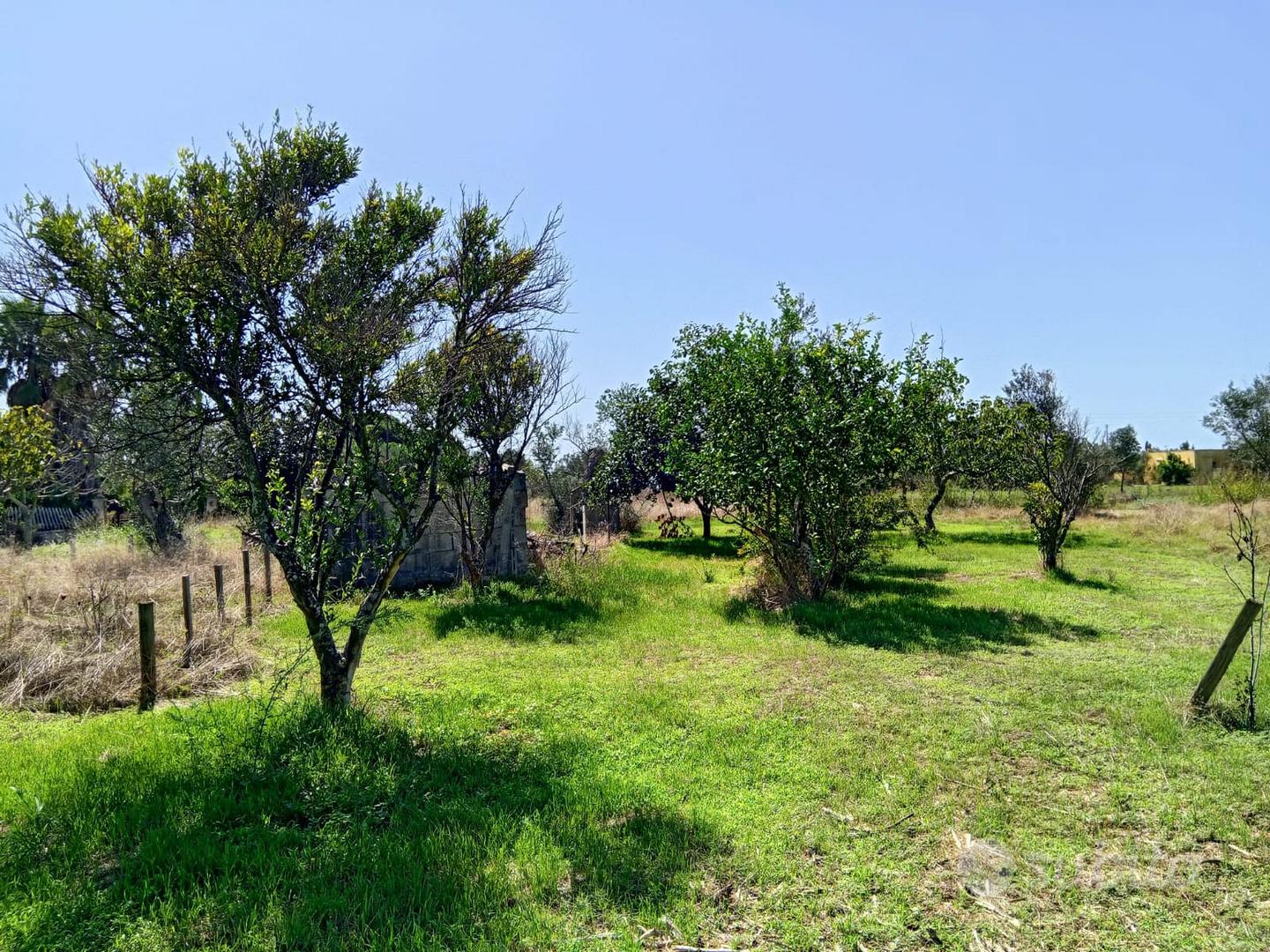 Terreno agricolo 32 aree - Vista 4