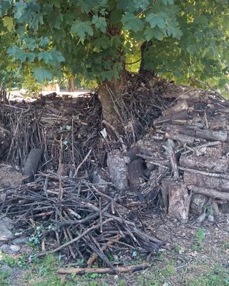 legna da ardere
