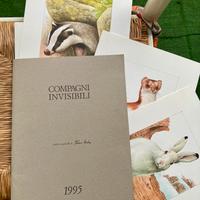 Tavole Acquerelli FRANCO TESTA 1995 no armando