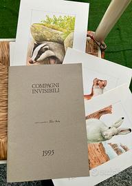 Tavole Acquerelli FRANCO TESTA 1995 no armando